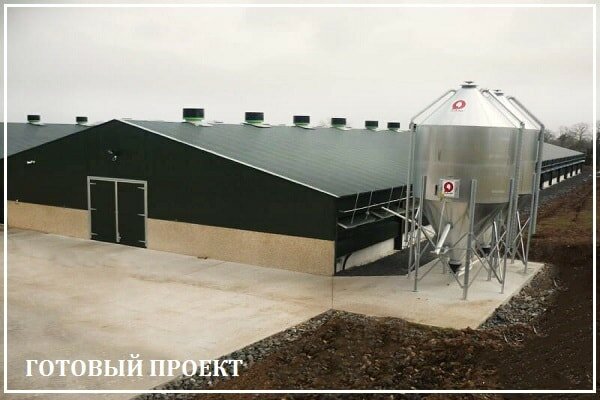 Этапы возведения птицефабрики от завода ВелесТент-кль
